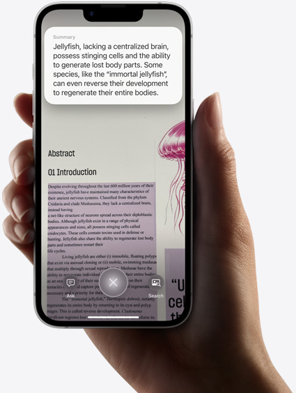 Tangan yang sedang memegang iPhone 16e menampilkan hasil pencarian menggunakan kecerdasan visual.