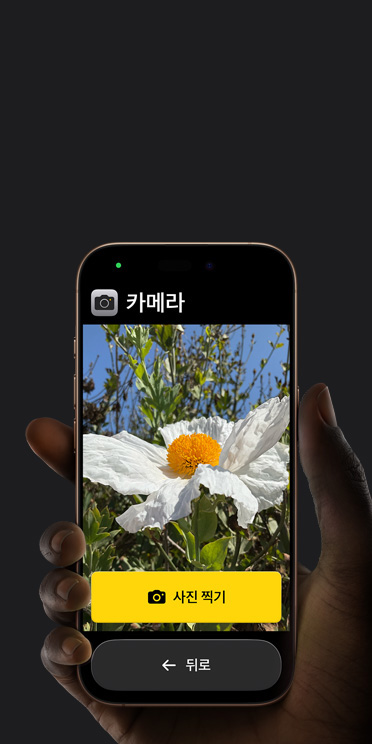 단순화된 카메라 앱 인터페이스에 하얀색 꽃을 보여주는 프레임 및 그 아래에 있는 사진 찍기 버튼과 뒤로 버튼이 표시된 iPhone 16 Pro 화면 