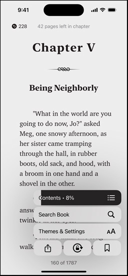 iPhone screen displaying a book page in the Books app. Overlaid on the book page, options for enlarging text, Search Book and Themes & Settings on the screen are shown