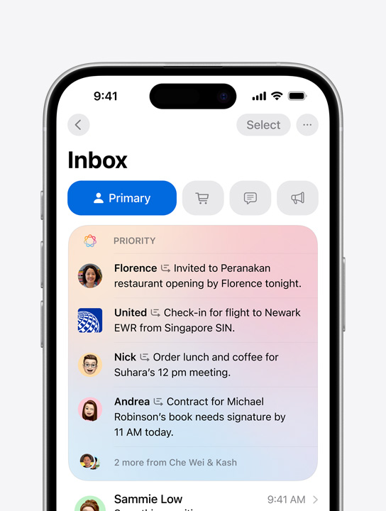 Screen showing Priority Messages in Mail