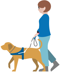 一位低視力人士戴著 AirPods，帶同服務犬在步行