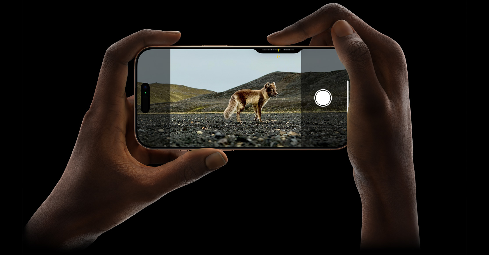 雙手握持 iPhone 16 Pro，以 5 倍長焦距相機拍攝野生動物相片