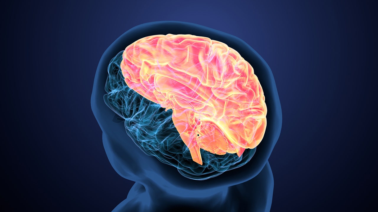 Paralyzed man with ALS is third to receive NeuraLink implant, can type with brain