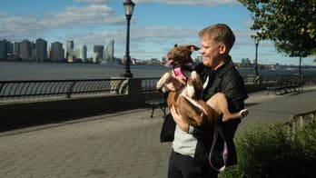 New platform uses  photo-matching technology to reunite lost pets with their families