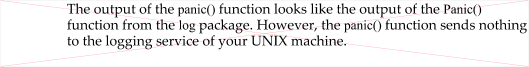 understanding-go-internals-defer-panic-and-recover-functions-tutorial-img-0