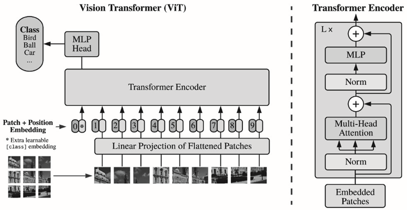 mastering-transfer-learning-fine-tuning-bert-and-vision-transformers-img-3