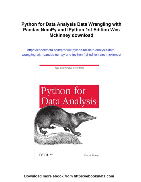 Python for Data Analysis Data Wrangling with Pandas NumPy and IPython 1st Edi...