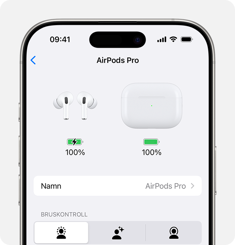 Batterinivåer för AirPods Pro och laddningsetuiet i Inställningar på iPhone.