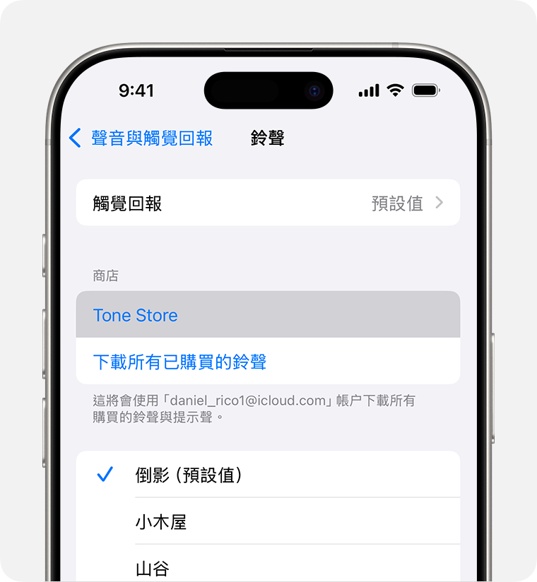 }iPhone 畫面顯示「Tone Store」。