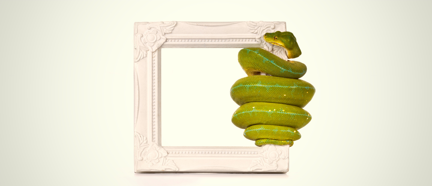Top 16 Python Frameworks for Web Development