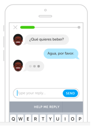 run the chatbot