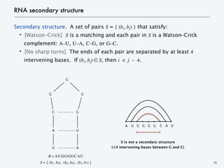 Secondary structure. A set of pairs S = { (bi, bj) } that satisfy:
・[Watson–Crick] S is a matching and each pair in S is a Watson–Crick
complement: A–U, U–A, C–G, or G–C.
・[No sharp turns] The ends of each pair are separated by at least 4
intervening bases. If (bi, bj) ∈ S, then i < j – 4.
RNA secondary structure
45
G G
C
A
G
U
U A
G
A U G G G C A U
S is not a secondary structure
(≤4 intervening bases between G and C)
G
B = AUGGGGCAU
S = { (b1, b9), (b2, b8), (b3, b7) }
 