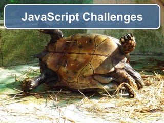 JavaScript Challenges

 