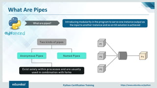 Python Certification Training https://www.edureka.co/python
What Are Pipes
Introducing modularity in the program to serve one instance output as
the input to another instance and so on till solution is achieved
What are pipes?
Two kinds of pipes
Named PipesAnonymous Pipes
Exist solely within processes and are usually
used in combination with forks
P1
P2
P3
P4
 