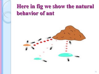 Here in fig we show the naturalHere in fig we show the natural
behavior of antbehavior of ant
15
 