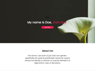 Intro to HTML & CSS