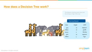 The dataset is looking quite messy and
the entropy is high in this case
Training Dataset
Color Height Label
grey
Yellow
brown
grey
Yellow
10
3
10
10
4
elephant
elephant
giraffe
Tiger
Monkey
How does a Decision Tree work?
 