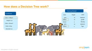 Training Dataset
Color Height Label
grey
Yellow
brown
grey
Yellow
10
3
10
10
4
elephant
elephant
giraffe
Tiger
Monkey
How does a Decision Tree work?
Conditions
Color==Yellow?
Height>=10
Color== Brown?
Color==Grey
Diameter<10
 