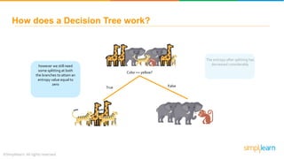 The entropy after splitting has
decreased considerablyhowever we still need
some splitting at both
the branches to attain an
entropy value equal to
zero
How does a Decision Tree work?
Color == yellow?
True False
 