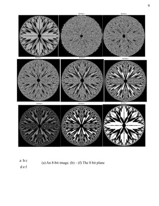 9
(a) An 8-bit image. (b) – (f) The 8 bit plane
a b c
d e f
 