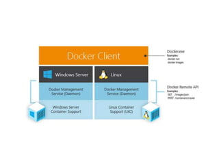 Architecting .NET Applications for Docker and Container Based Deployments