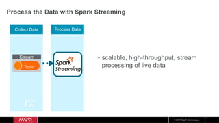 © 2017 MapR Technologies
Collect Data
Process the Data with Spark Streaming
Process Data
Stream
Topic
•  scalable, high-throughput, stream
processing of live data
 