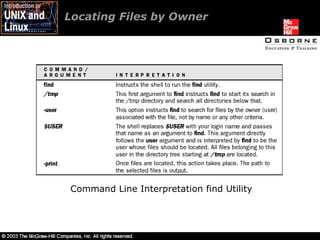 Locating Files by Owner  Command Line Interpretation find Utility 