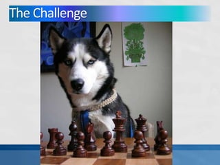 The Challenge