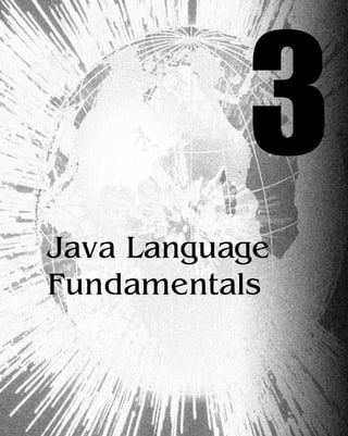 Chapter
3
Java Language
Fundamentals
 