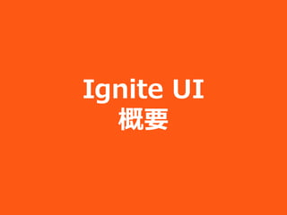 Ignite UI
  概要
 