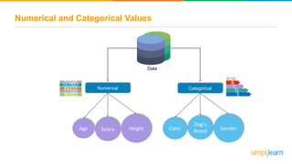 Numerical and Categorical Values
Data
SalaryAge Height Gender
Dog’s
BreedColor
12345
167891
46920
12345
90984
Numerical Categorical
A
C
D
E
B
 