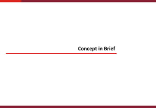 Concept in Brief
 