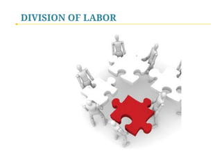 DIVISION OF LABOR

 