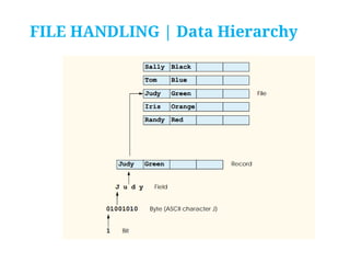 FILE HANDLING | Data Hierarchy

 