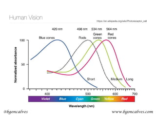 www.bgoncalves.com@bgoncalves
Human Vision https://en.wikipedia.org/wiki/Photoreceptor_cell
 
