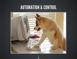 AUTOMATION & CONTROL
↓
 