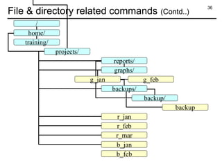 36
File & directory related commands (Contd..)
/
home/
training/
projects/
reports/
graphs/
backups/
backup/
backup
g_jan g_feb
r_jan
r_feb
r_mar
b_jan
b_feb
 