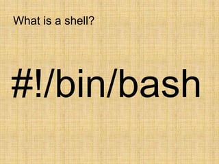 What is a shell?
#!/bin/bash
 