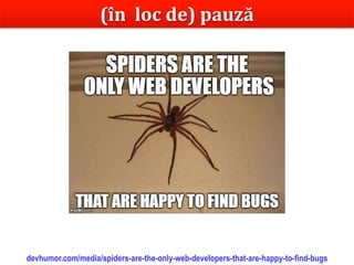 Dr.SabinBuragawww.purl.org/net/busaco
(în loc de) pauză
devhumor.com/media/spiders-are-the-only-web-developers-that-are-happy-to-find-bugs
 