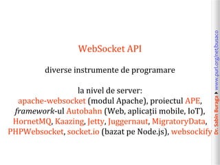 Dr.SabinBuragawww.purl.org/net/busaco
WebSocket API
diverse instrumente de programare
la nivel de server:
apache-websocket (modul Apache), proiectul APE,
framework-ul Autobahn (Web, aplicații mobile, IoT),
HornetMQ, Kaazing, Jetty, Juggernaut, MigratoryData,
PHPWebsocket, socket.io (bazat pe Node.js), websockify
 