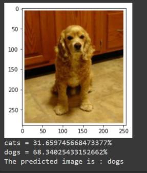 Model evaluation