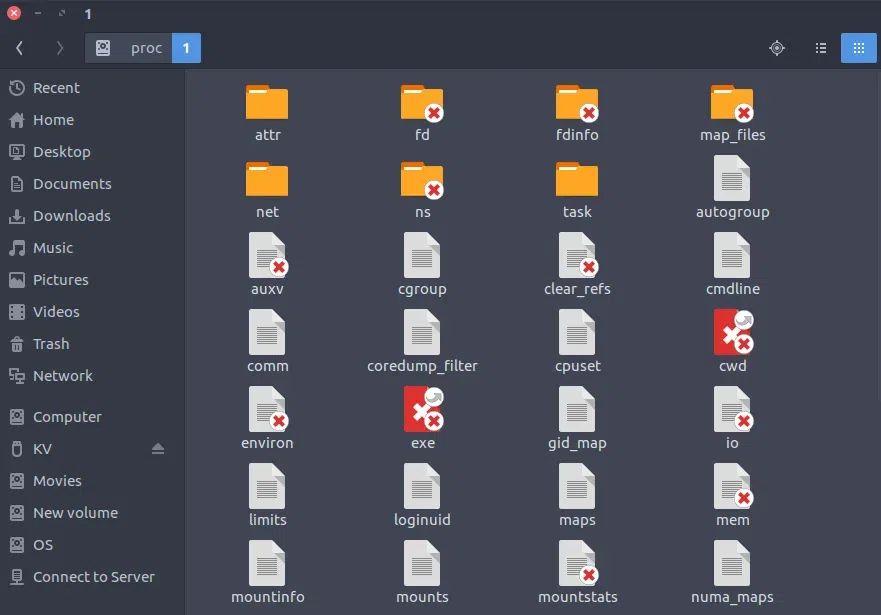 proc-linux-directory