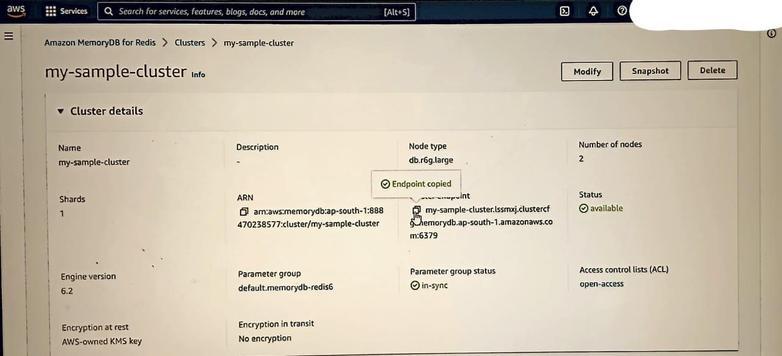 Go to the cluster and copy the Endpoint of your cluster