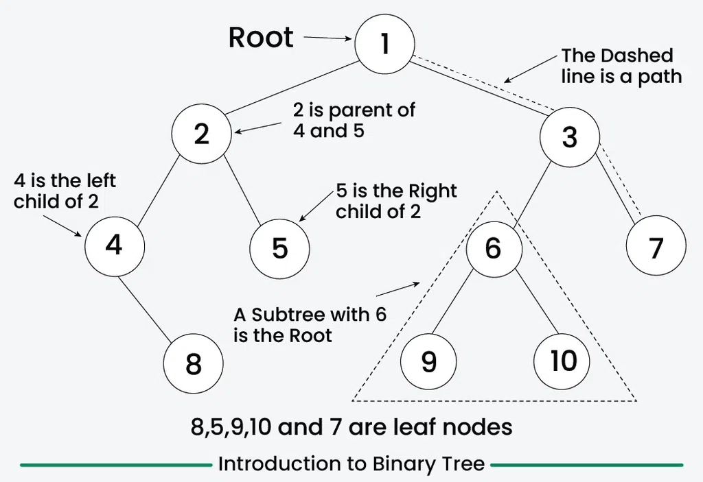 Introduction-to-Binary-Tree
