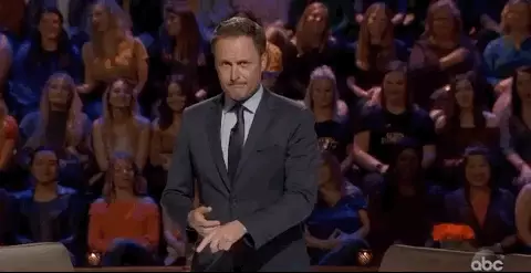 vue vs svelte