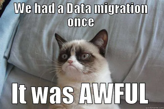 Data Migration