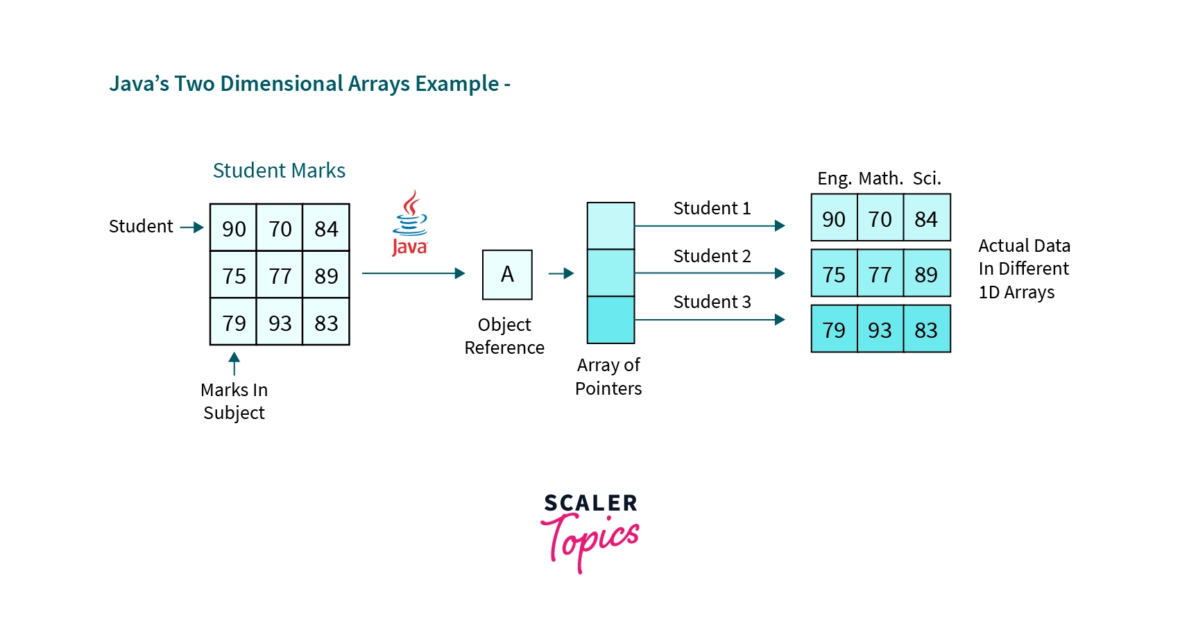 Java Two Dimensional Array Example