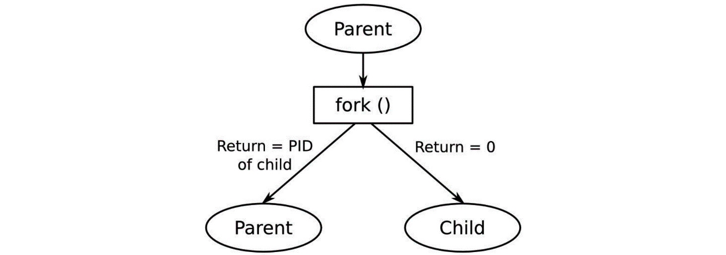 Figure 17.3 – Forking