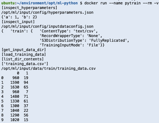 Figure 2.59 – Result of the docker run command (train)
