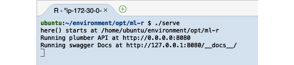 Figure 2.90 – The serve script running
